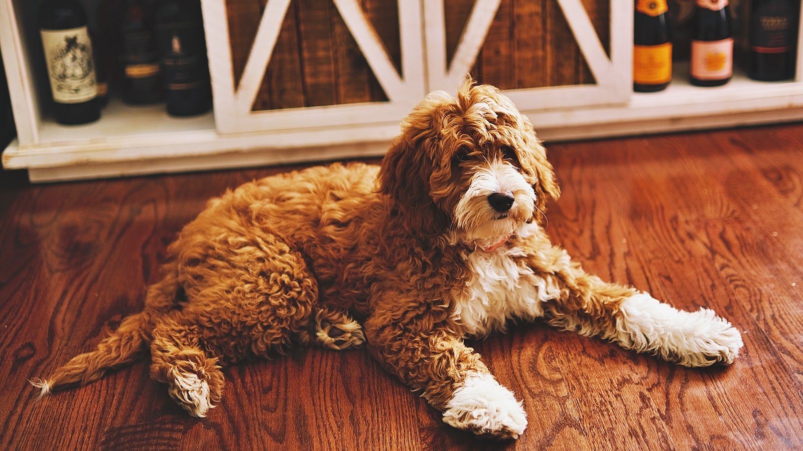 - Expert tips for⁣ smooth property buying in Kissimmee, ⁤FL