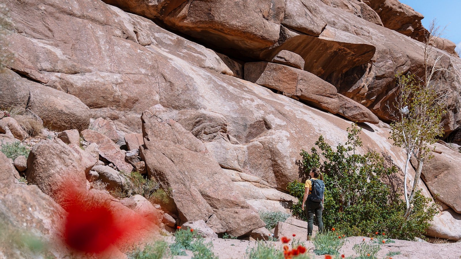 Understanding the Zillow Experience: Navigating the Weston ⁢FL Housing Market