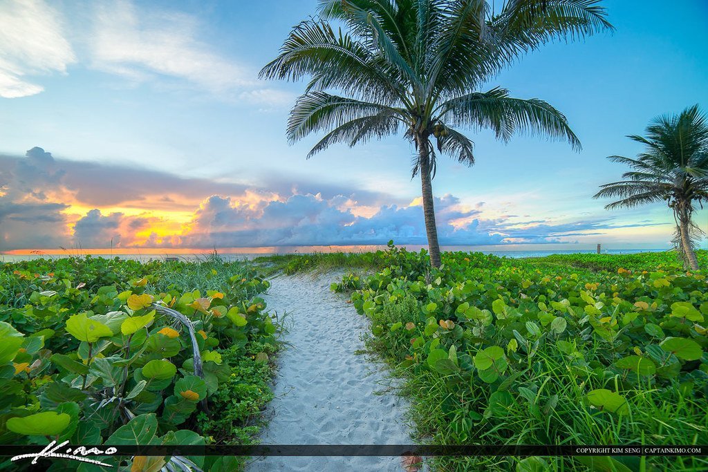 Unveiling the Wide Range of Home Options in Delray Beach FL