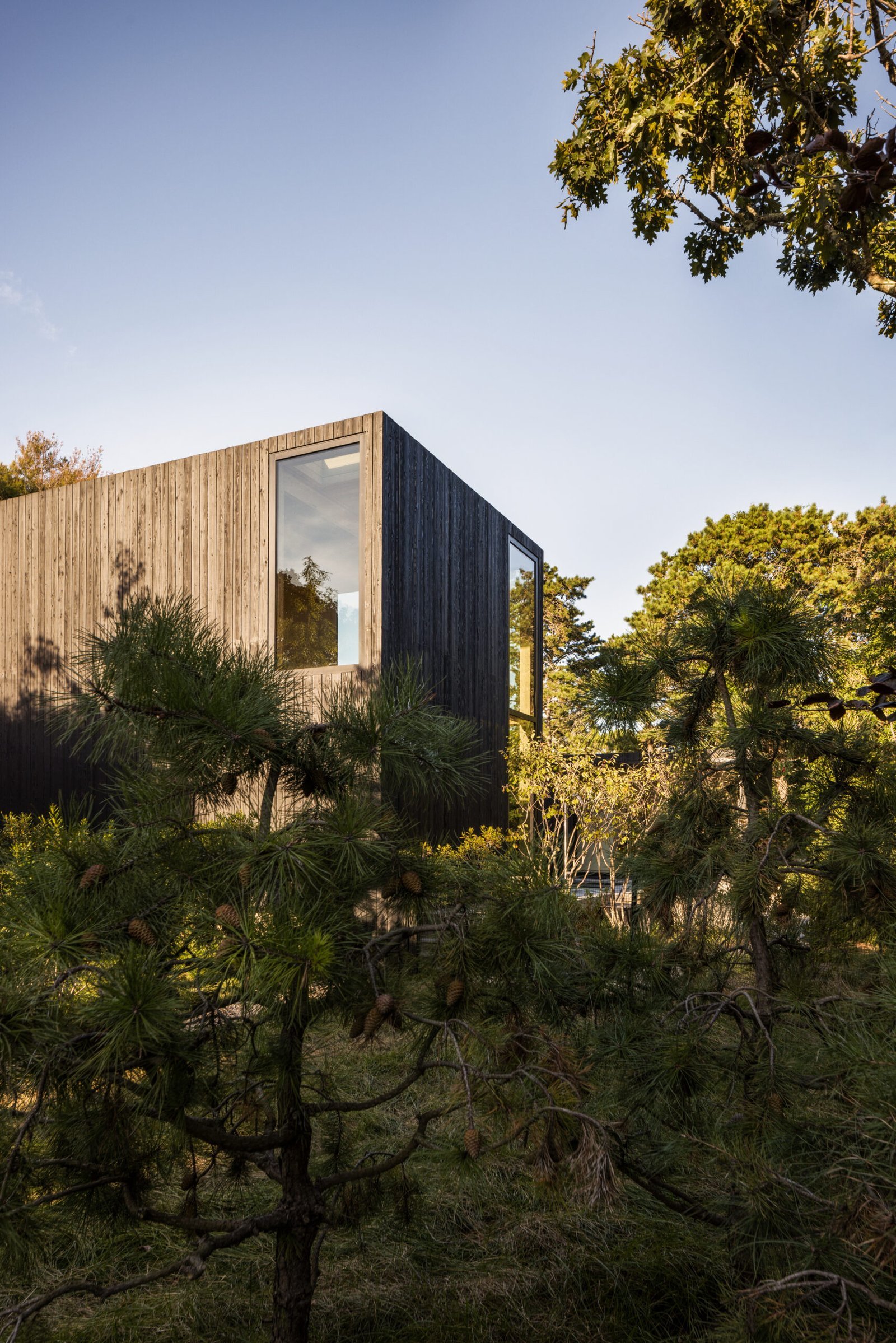 Stunning Modern Architecture, Unbeatable Location, and Must-See Features: A Review of Houses for Sale in Jacksonville, FL