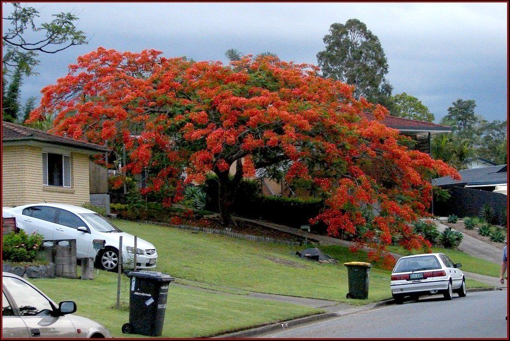 4. Poinciana's Best Kept Real Estate Secrets: Insights from Top Realtors