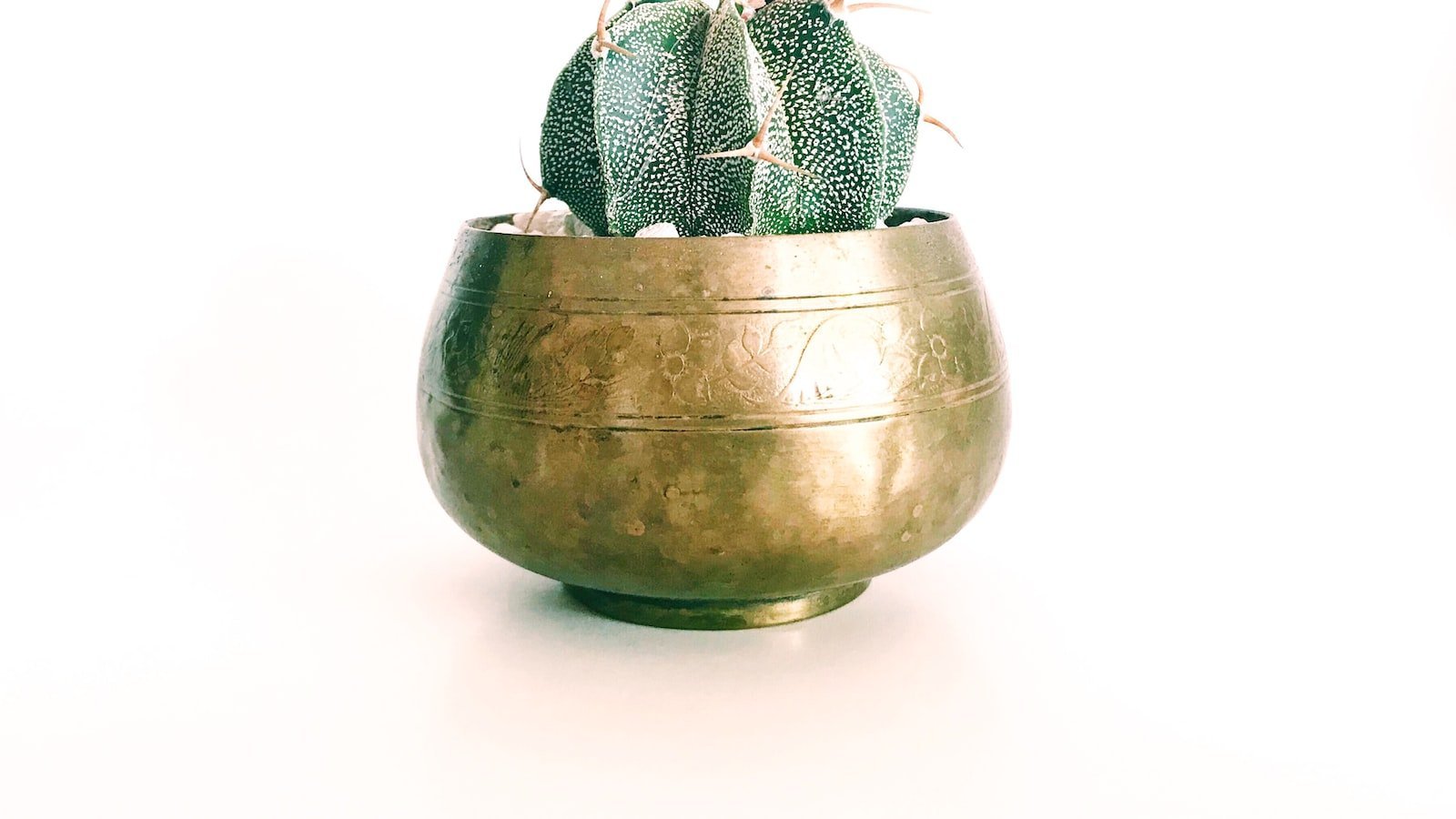 Explore Your Options: A Comprehensive Guide to the Diverse Selection of Homes for Sale in Bartow, FL