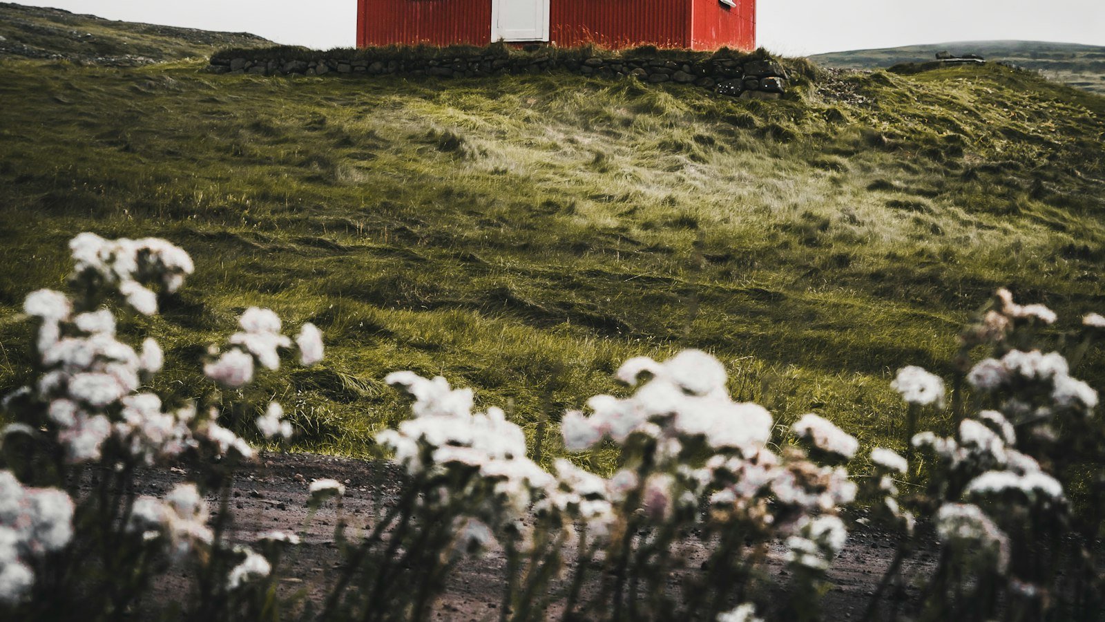 1. A Picturesque Haven: Exploring the Charm and Convenience of Houses for Sale near Hialeah Gardens FL