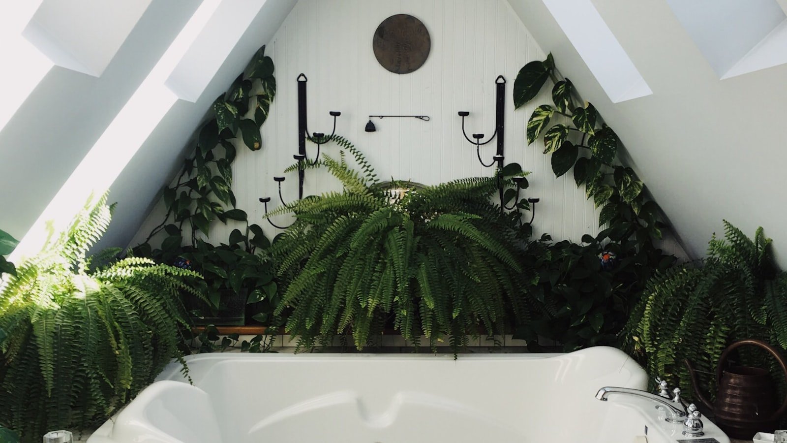 3. Top Recommendations: Discover the Delights Near this House for Sale in Dunedin FL