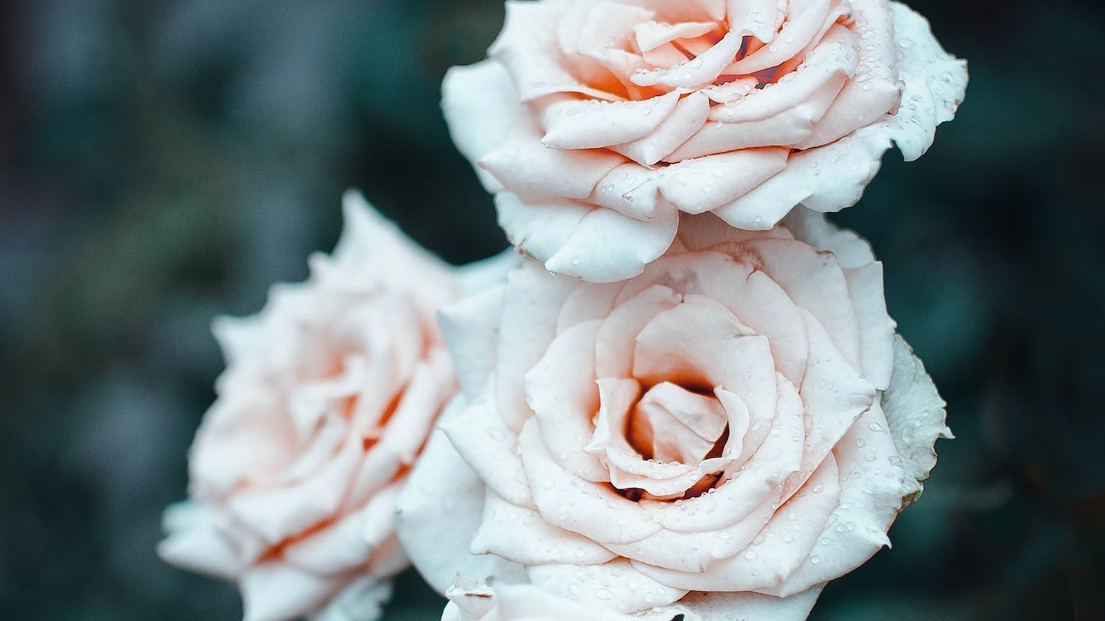 A Perfect Blend of Nature and Community: Find Your Dream Home in Apalachicola FL