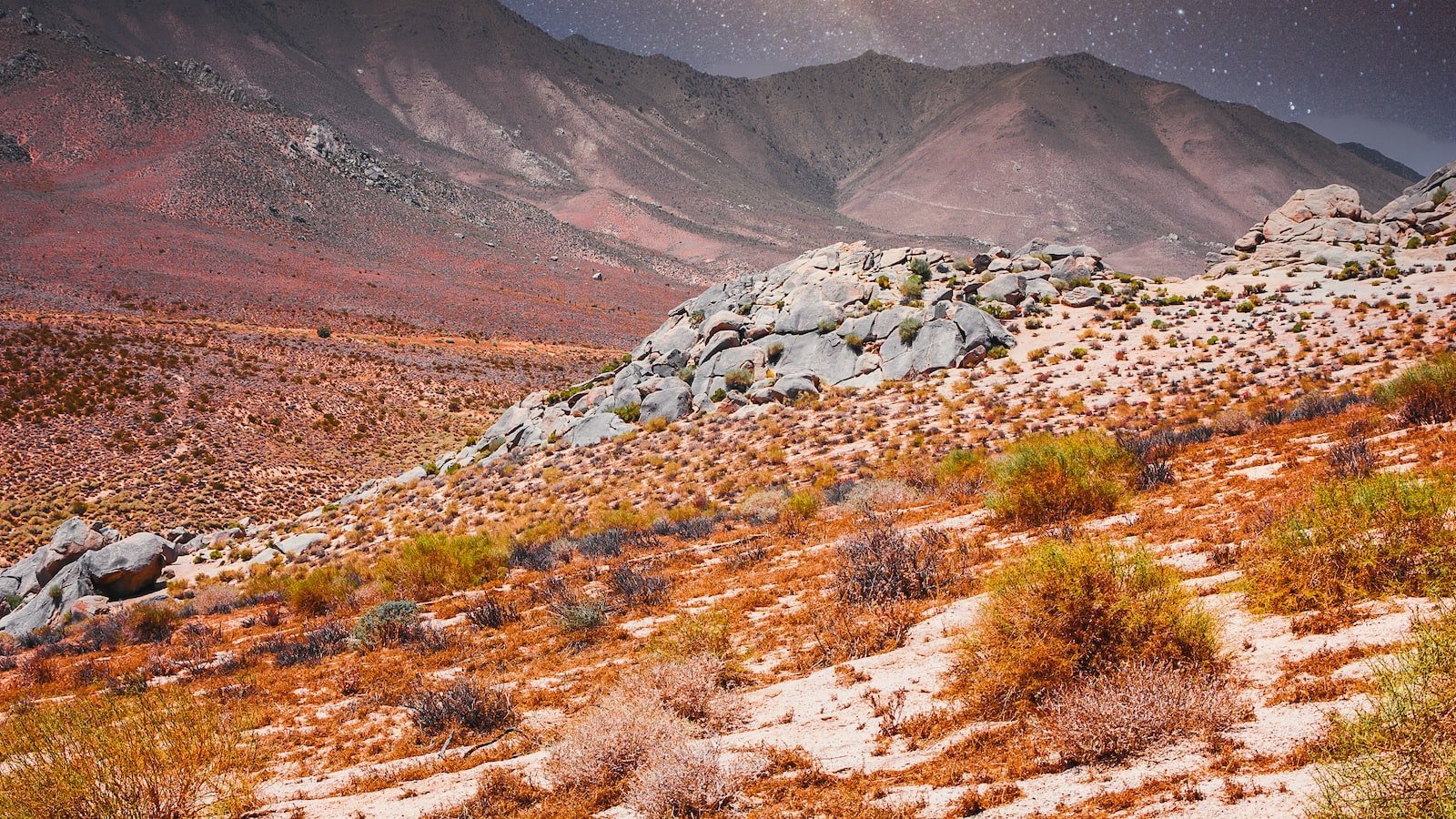 2. Fantastic Neighborhoods: Unveiling the Hidden Gems and Desirable Features of Houses for Sale near Hialeah Gardens FL