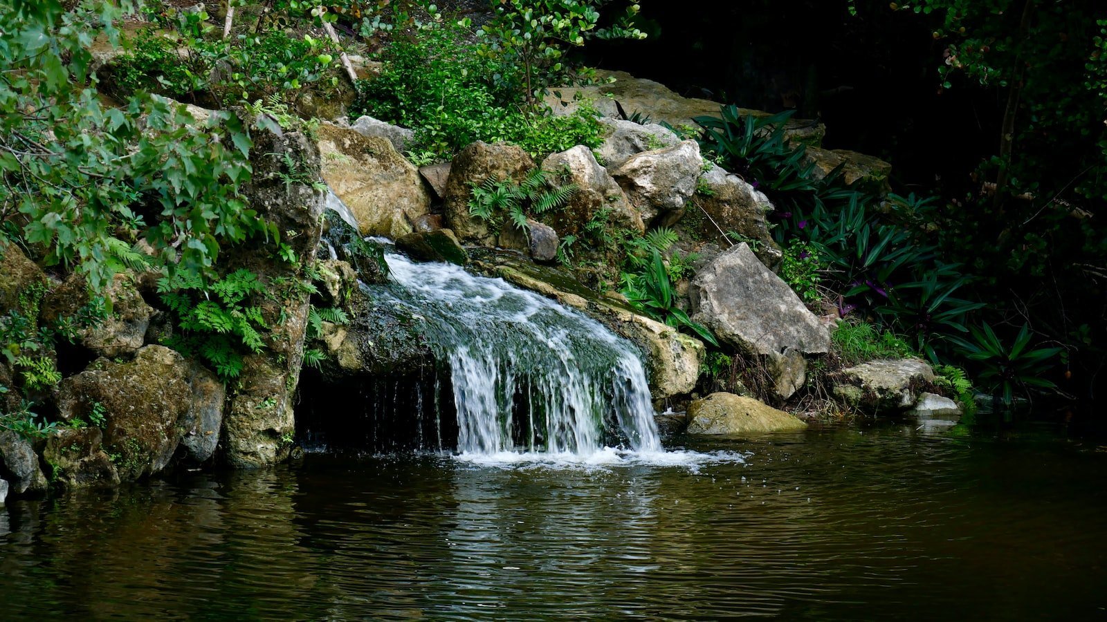 Discover the Relaxing Lifestyle of Delray Beach FL Homes for Sale