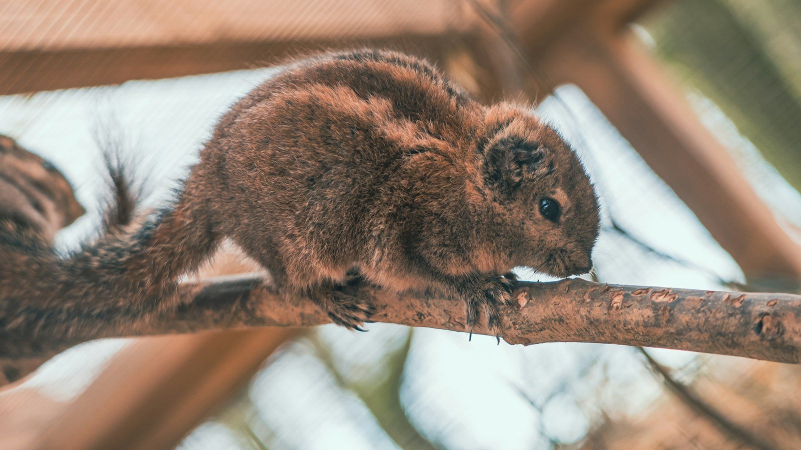 A Blissful Oasis in Hialeah FL – Discover Your Dream House for Sale Here