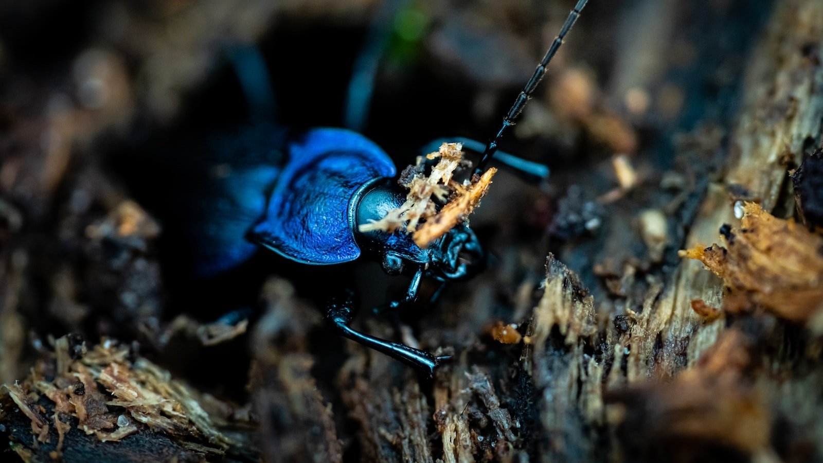 Unveiling the ‌hidden gems of Dania Beach, FL through Zillow for Sale