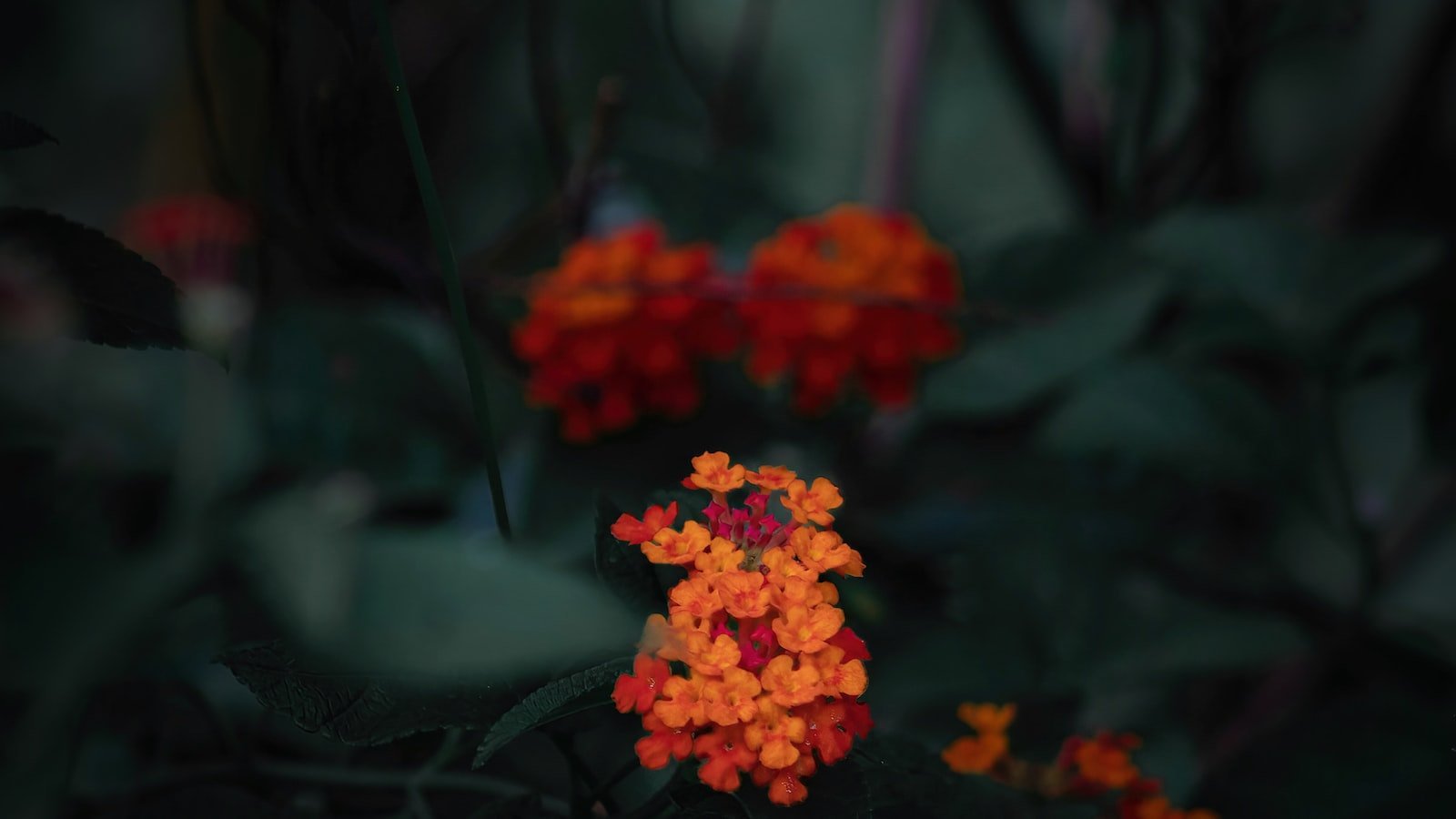 Unveiling​ the⁢ Allure: A Detailed Look into⁣ Lantana, FL's Real⁢ Estate Market